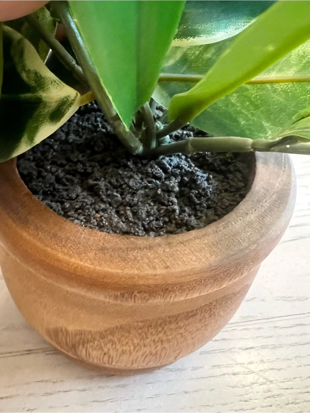 Green Lifelike Variegated Faux Plant in Wooden Pot